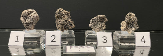 NATIVE SILVER, Australia INS062-65