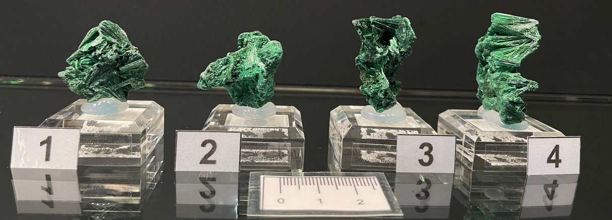 VELVET MALACHITE, Democratic Republic of the Congo IVE001-4