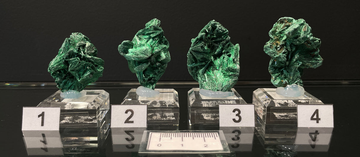 VELVET MALACHITE, Democratic Republic of the Congo IVE009-12