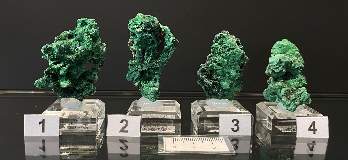 VELVET MALACHITE, Democratic Republic of the Congo IVE017-20