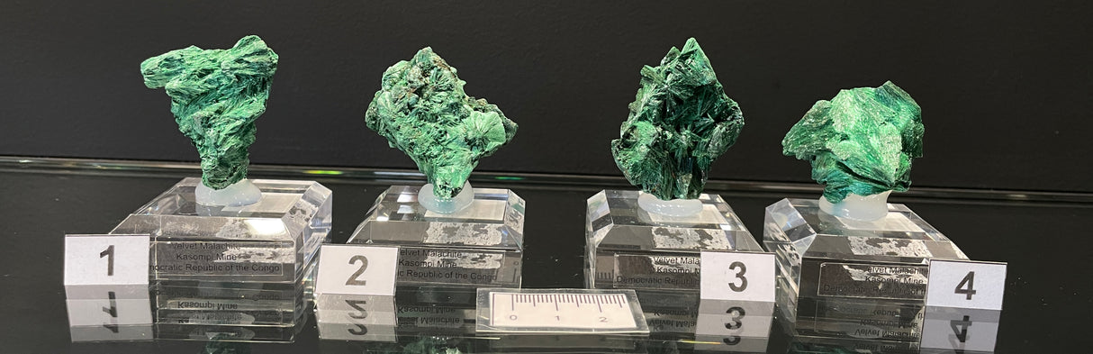 VELVET MALACHITE, Democratic Republic of the Congo IVE021-24