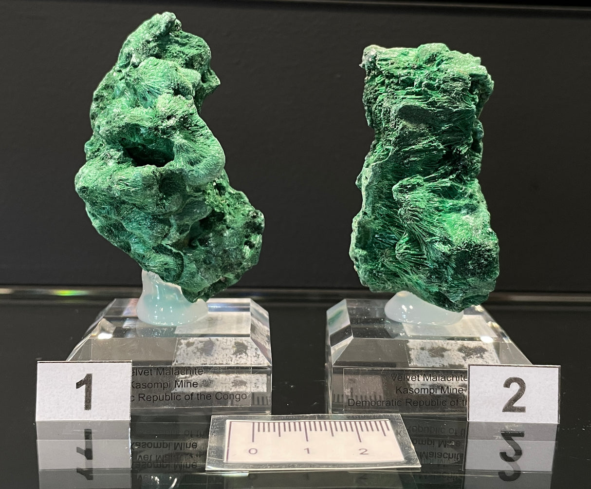 VELVET MALACHITE, Democratic Republic of the Congo IVE029-30