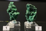 VELVET MALACHITE, Democratic Republic of the Congo IVE029-30