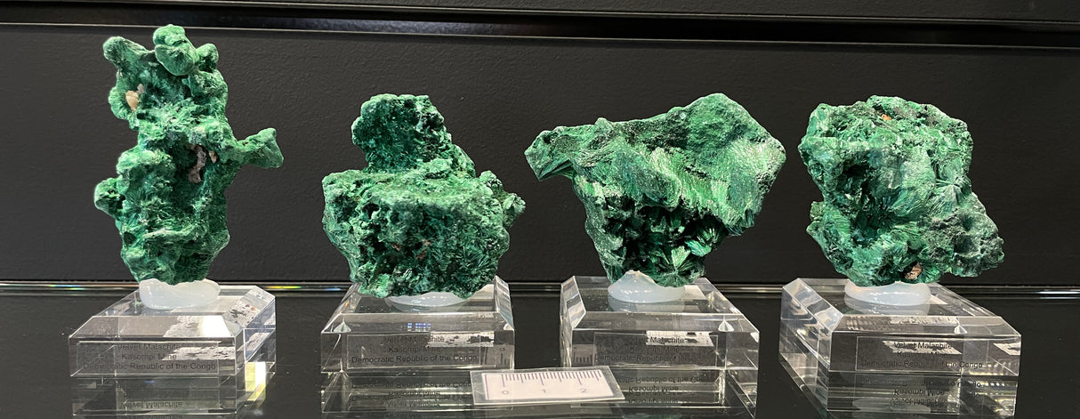 VELVET MALACHITE, Democratic Republic of the Congo IVE031-34