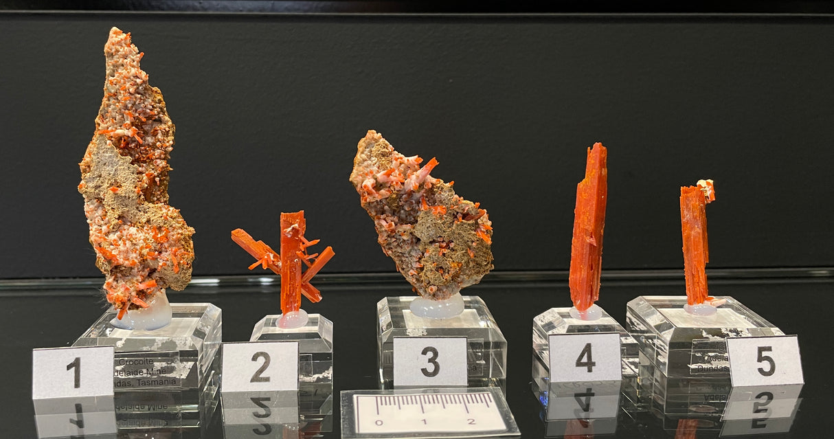 CROCOITE, Tasmania, Australia ICR050-54