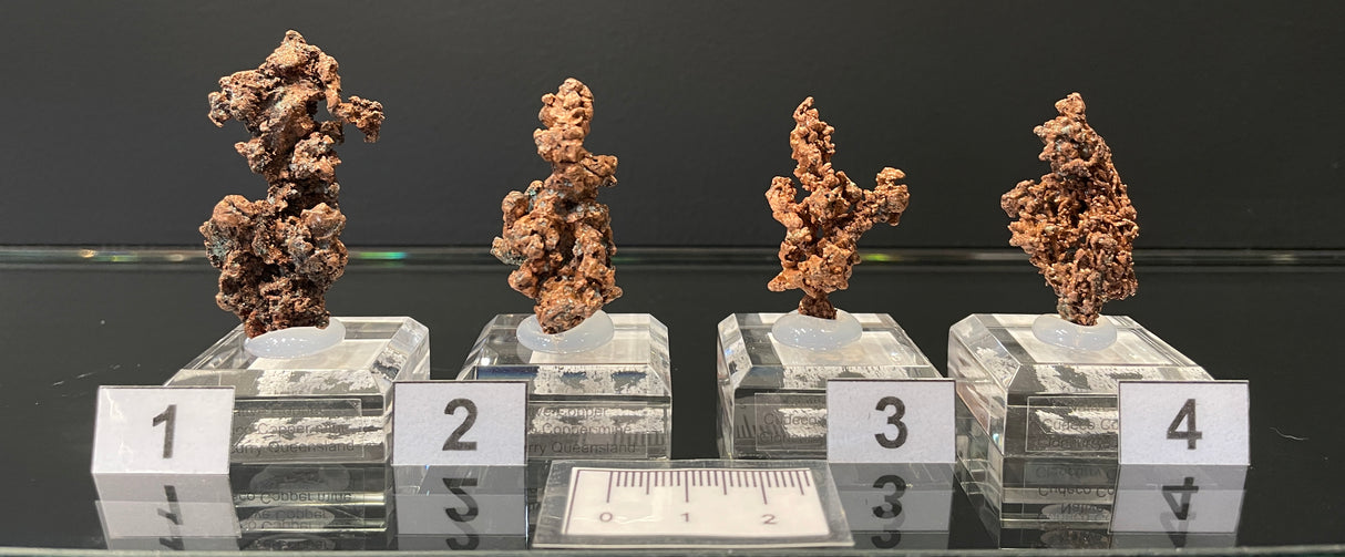 NATIVE COPPER, Australia INC088-91