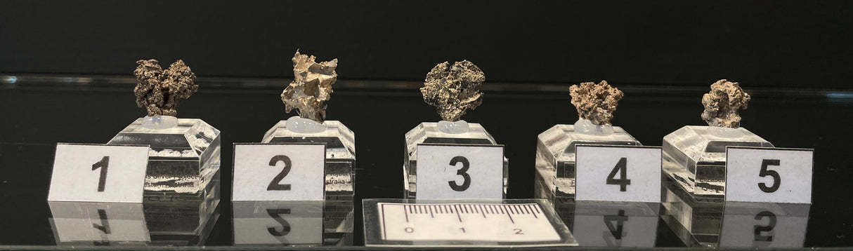 NATIVE SILVER, Australia INS070-74