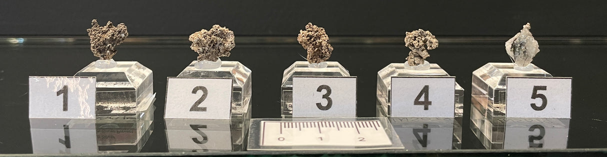 NATIVE SILVER, Australia INS075-79
