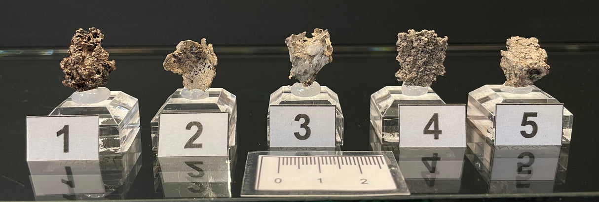 NATIVE SILVER, Australia INS086-89