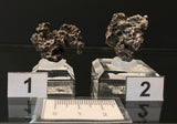 NATIVE SILVER, Australia INS110-111