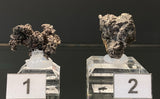 NATIVE SILVER, Australia INS110-111