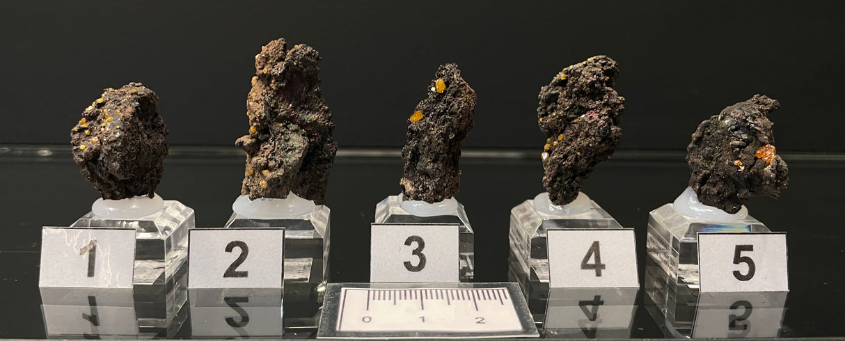 WULFENITE, Western Australia IWF008-12