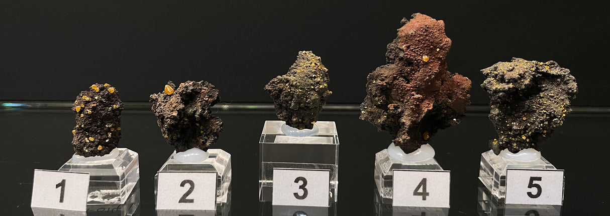 WULFENITE, Western Australia IWF013-17