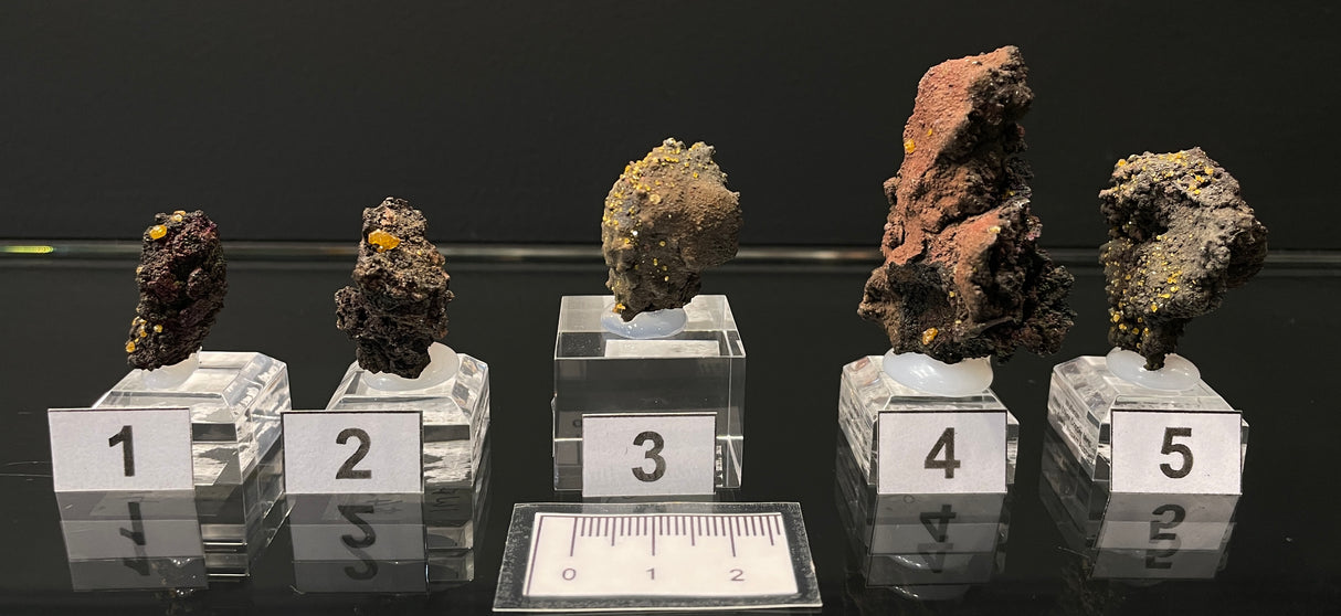 WULFENITE, Western Australia IWF013-17