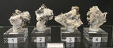 SILVER ON CALCITE, Morocco ISI051-54