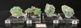GREEN APOPHYLLITE, STILBITE AND HEULANDITE, India, IGR019-22