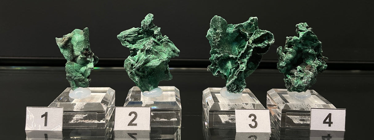 VELVET MALACHITE, Democratic Republic of the Congo IVE035-38