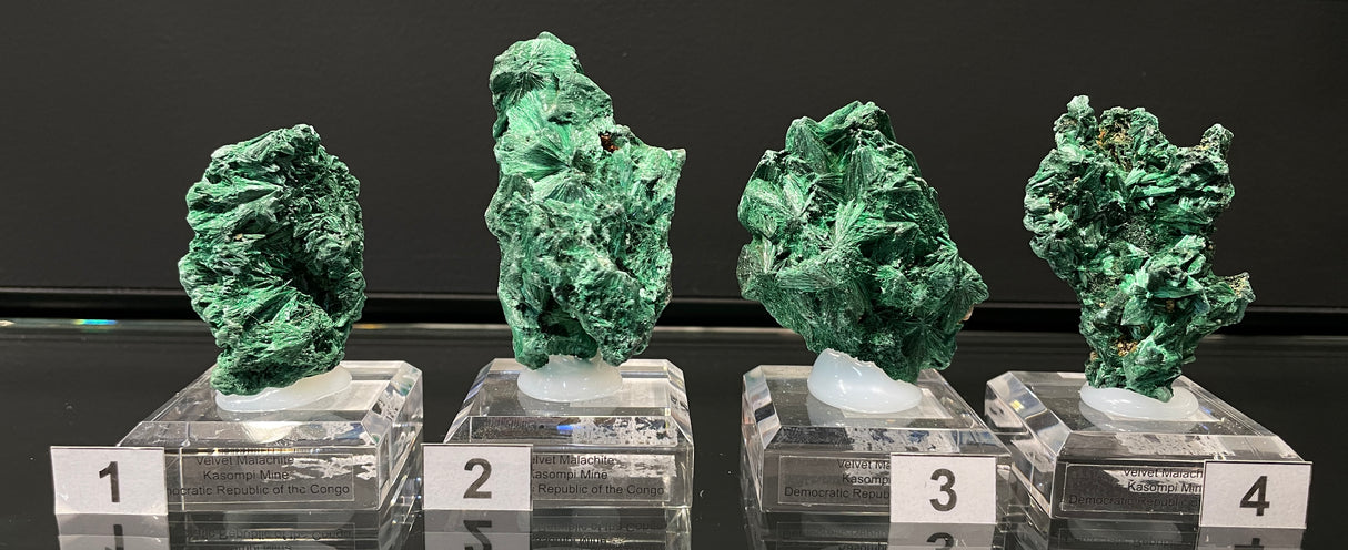 VELVET MALACHITE, Democratic Republic of the Congo IVE043-46