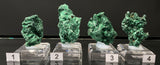 VELVET MALACHITE, Democratic Republic of the Congo IVE043-46