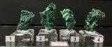 VELVET MALACHITE, Democratic Republic of the Congo IVE043-46