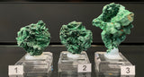 VELVET MALACHITE, Democratic Republic of the Congo IVE047-49