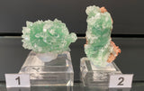 GREEN APOPHYLLITE, India IAI004-5