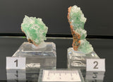 GREEN APOPHYLLITE, India IAI004-5