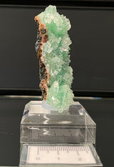 GREEN APOPHYLLITE, India IAI008