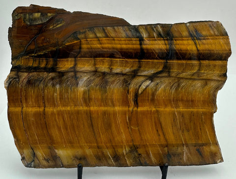 TIGER EYE Polished Slice,  SOUTH AFRICA S1288
