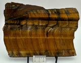 TIGER EYE Polished Slice,  SOUTH AFRICA S1288