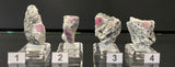 RUBY IN GNEISS, Australia IRG040-43