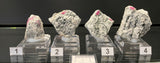 RUBY IN GNEISS, Australia IRG047-50