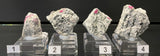 RUBY IN GNEISS, Australia IRG047-50
