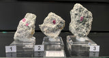 RUBY IN GNEISS, Australia IRG051-53