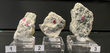 RUBY IN GNEISS, Australia IRG051-53
