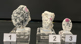 RUBY IN GNEISS, Australia IRG054-56