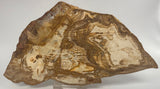 PICTURE JASPER SLICE Australia S550