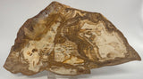 PICTURE JASPER POLISHED CRYSTAL Slab/Slice Australia S550