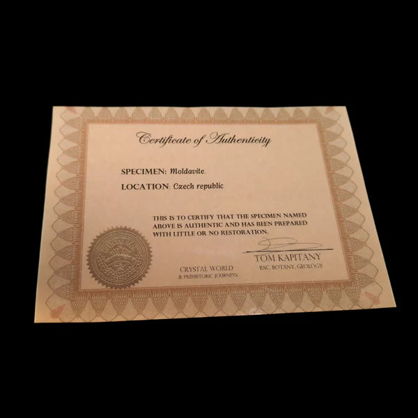 MOLDAVITE RING set in STERLING SILVER 3SSMDVR1