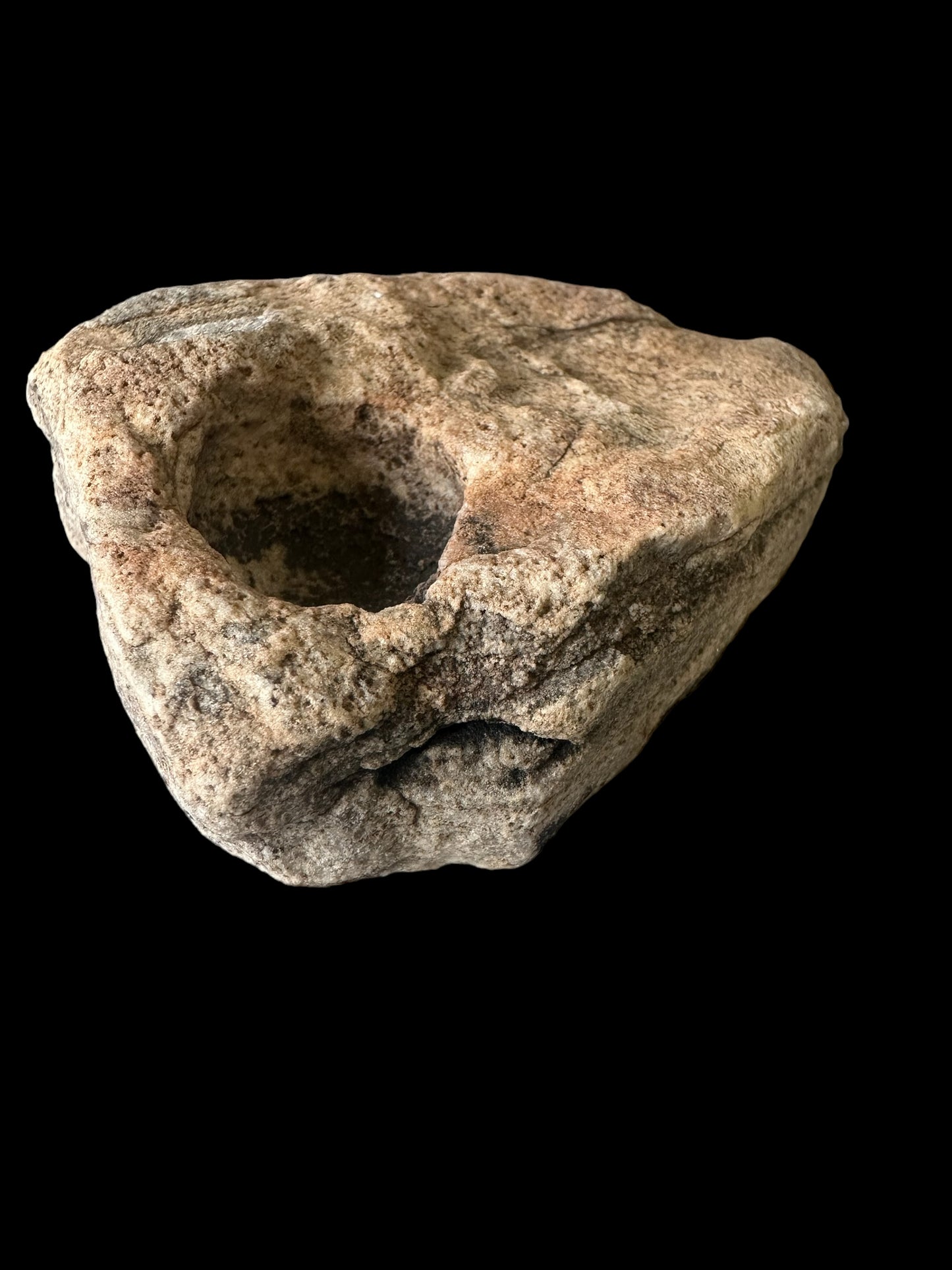NAMACALATHUS HERMANASTES, LATE EDIACARAN FOSSIL NAMBIA F650