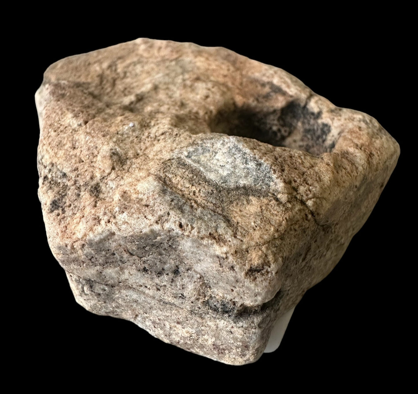 NAMACALATHUS HERMANASTES, LATE EDIACARAN FOSSIL NAMBIA F650