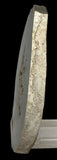 STROMATOLITE, RECENT LIVING, SOUTH AUSTRALIA S532