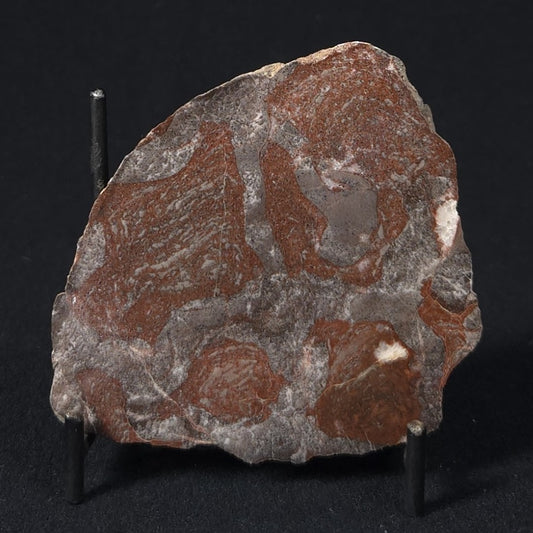 LINELLA AVIS STROMATOLITE, Proterozoic, Australia 8VA030