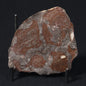 LINELLA AVIS STROMATOLITE, Proterozoic, Australia 8VA030