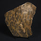 LINELLA AVIS STROMATOLITE, Proterozoic, Australia 8VA022