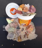 THE YOUNG FOSSIKERS SAND BUCKET KIT ROUGH STONE