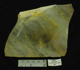 Stromatolite Slice, Middle Proterozoic,1.4 Mya, Noondine Chert, Gunyidi, Western Australia MS055