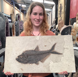 Fossil Fish Diplomystus