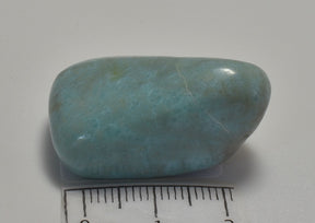 LARIMAR POLISHED CRYSTAL FREEFORM TUMBLE STONE (P48)