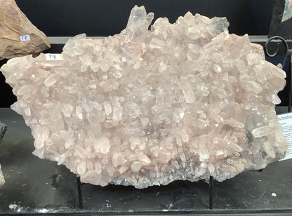 Himalayan Quartz Cluster
